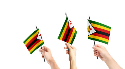 A group of people are holding small flags of Zimbabwe in their hands.