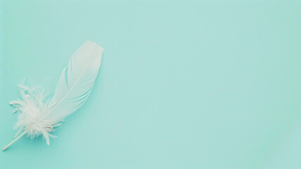A white fluffy bird feather on a delicate blue background