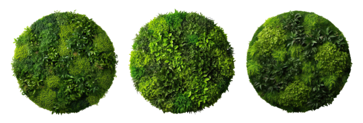 Set of round green garden wall panels from tropical plants, cut out