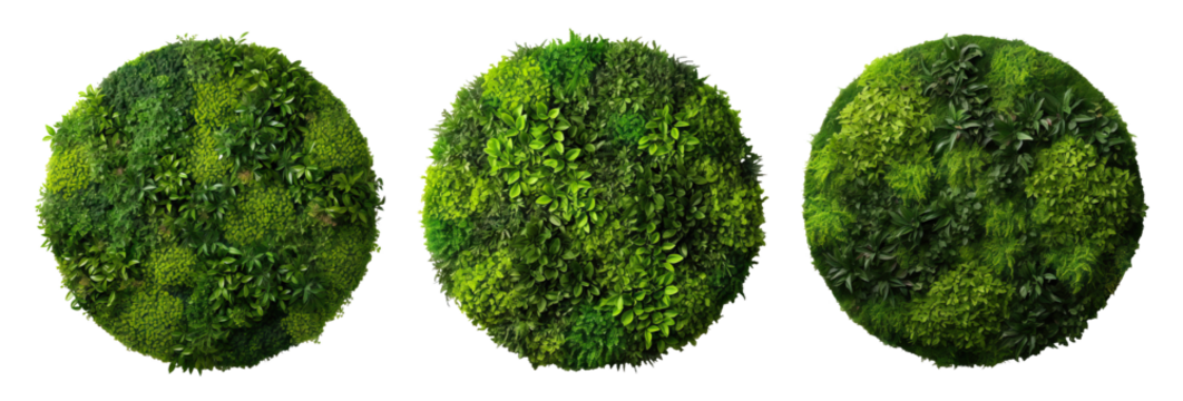 Set of round green garden wall panels from tropical plants, cut out
