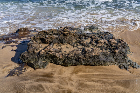 Kuilei Cliffs Beach Park, Diamond Head Crater, Honolulu Oahu Hawaii. Beachrock is a friable to well-cemented sedimentary rock that consists of a variable mixture of gravel-, sand-, and silt-sized sedi