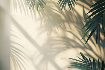 Obraz premium Cream wall with blurred palm leaf shadows, minimalistic background for summer spring, highquality image, perfect for product presentation, light and elegant, serene and natural