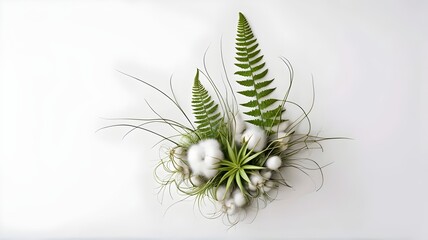 fern-cotton-leaf-flower-air-plant-arrangement-on-white-background