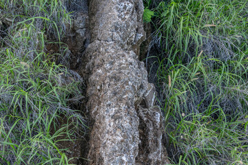 Caliche with Tuff, Tuff is a type of rock made of volcanic ash ejected from a vent during a volcanic eruption.  Oahu Hawaii geogoly. Diamond Head Crater, Honolulu Volcanics, calcium carbonate;