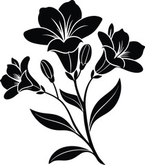  Freesia silhouette vector illustration