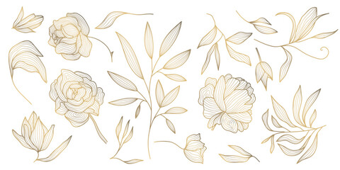 Vector set of gold leaves and flowers isolated, plant branch line illustration, luxury foliage decoration. Vintage ornament elements, peonies, summer background