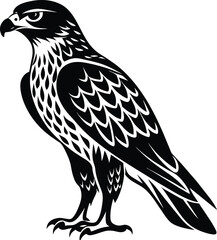 Hawk silhouette vector illustration design
