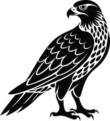 Hawk silhouette vector illustration design
