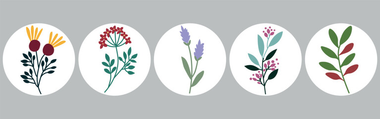 Vector icons for related stories. Stickers with flowers. Calendula, lavender and yarrow on a white background.