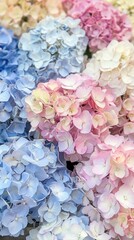 a vase adorned with an array of hydrangea flowers in shades of blue, pink, white, and purple, blending together harmoniously to create a stunning display that brings joy to any space.