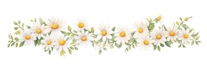 Fototapeta premium PNG Daisies pattern flower plant.