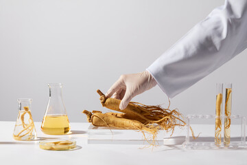 A ginseng root on a glass platform is lifted by a hand of scientist, next to a test tube rack,...
