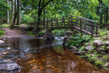 Obraz premium Wooden footbridge over the river Esk near Dalegarth station and Dalegarth waterfalls, in the Lake District National Park, England