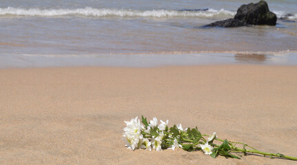 Bunch of wet white flowers left on the beach sand near the sea, relaxing and romantic message