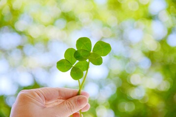 四つ葉のクローバーを持つ手　Four-leaf clover　Lucky clover