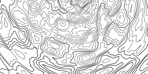 Fototapeta premium Topographic map. Contour abstract background. Topological landscape on white. Vector illustration.