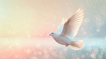 Beautiful white dove flying in the air on pastel bokeh background with copy space for text or design. Concept of freedom