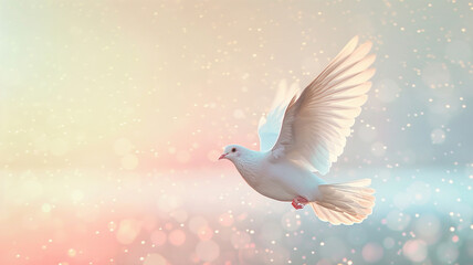 Obraz premium Beautiful white dove flying in the air on pastel bokeh background with copy space for text or design. Concept of freedom