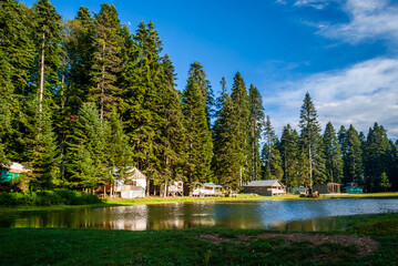Escape to the forest, lakeside cabins amidst towering pines,  peace and escape from the hustle and...