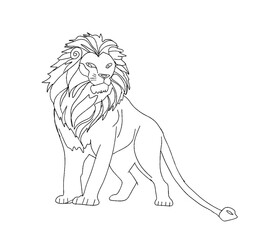 lion illustration