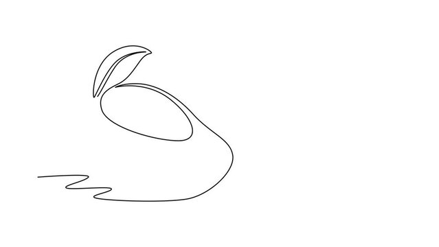 Animated self drawing of continuous line draw of whole healthy sweet organic mango for orchard logo identity. Fresh tropical fruitage concept for fruit garden icon. Full length single line animation