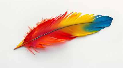 A Single colorful parrot feather isolated on white background
