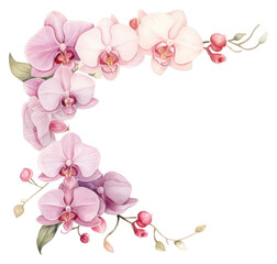 PNG  Orchid frame watercolor blossom flower plant.