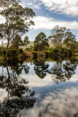 Reflections in Captain Cook Creek, Adventure Bay, Bruny Island, Tasmania, Australia