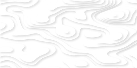 Background with lines Modern white carve wave line abstract luxury 3d papercut background. vector minimal topography map light element shadow landscape wave element curve graphic papercut design.