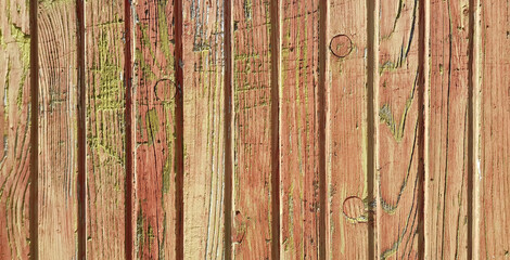 Wood texture background close up