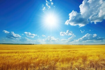 Obraz premium Field. Rural Landscape with Golden Wheat on Sunny Day