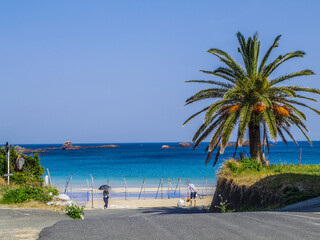 【静岡県】下田市・外浦海水浴場