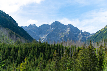mountain view forest landscape Poland Zakopane