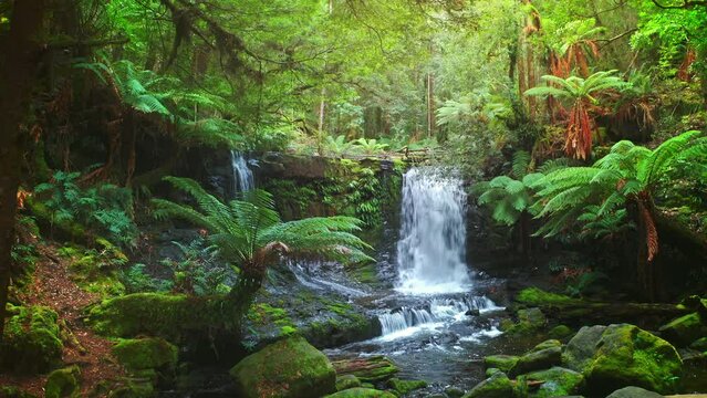 Tropical forest waterfall cascade. Horseshoe falls Mt Fields national park TAS