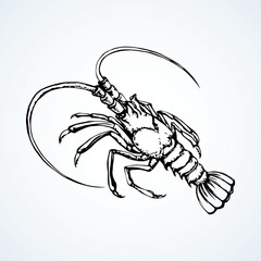 Lobster.  Vector drawing