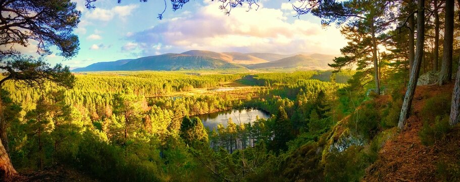 Uath Lochan, Glen Fishie, Cairngorms, Scotland