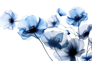 PNG Ink blue flowers petal plant white. 