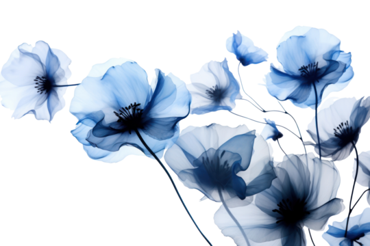 PNG Ink blue flowers petal plant white. 