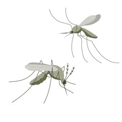 Small mosquito insect. Illustration in flat, simple, cartoon style