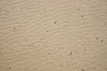 waves texture on beach sand at low tide