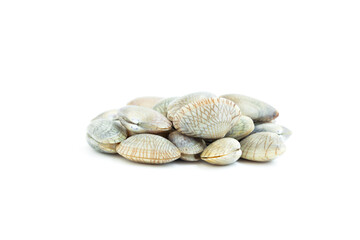 Undulated surf clams (Paphia undulata) isolated on white background, Raw food, Seafood