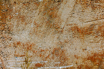 The texture of an old concrete wall with yellow moss. Grunge textured wall