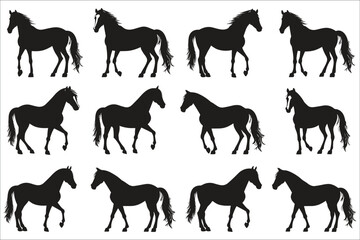 Set of horse silhouette, Horses silhouettes, Silhouette of a running horse, Big set of horses silhouettes, Race horses silhouettes set, Horse, Running, Run, Animal, Jumping, Race, Champion, Succeed