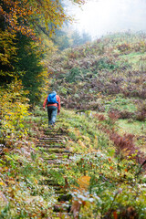 Fototapeta premium Wanderer beim Aufstieg auf die Walter-Ulbricht-Schanze an der Vesser (Schmiedefeld, Thüringen, Germany)