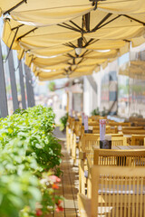 Sunny day in a summer cafe in the shade of a canopy.