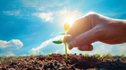 A clean energy concept with a hand holding a small seedling growing out of rich soil, with a bright blue sky and sunshine in the background, with copy space.