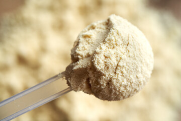 Whey protein powder in a plastic measuring cup