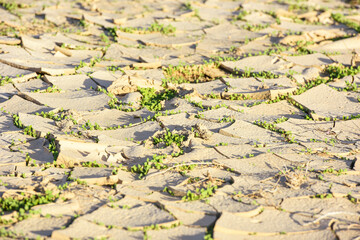 Cracked, parched earth showing the consequences of extreme drought, clods of earth bent open in drought, cracked earth surface, dry cracks in the ground. United Arab Emirates.
