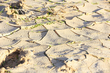 Cracked, parched earth showing the consequences of extreme drought, clods of earth bent open in drought, cracked earth surface, dry cracks in the ground. United Arab Emirates.