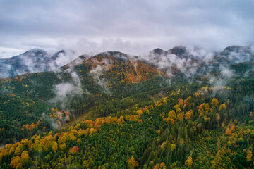 Obraz premium Mountains in clouds at sunrise in summer. Aerial view of mountain peak with green trees in fog. Top view from drone of mountain valley in low clouds